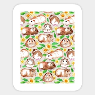 Guinea Pigs and Daisies in Watercolor Sticker